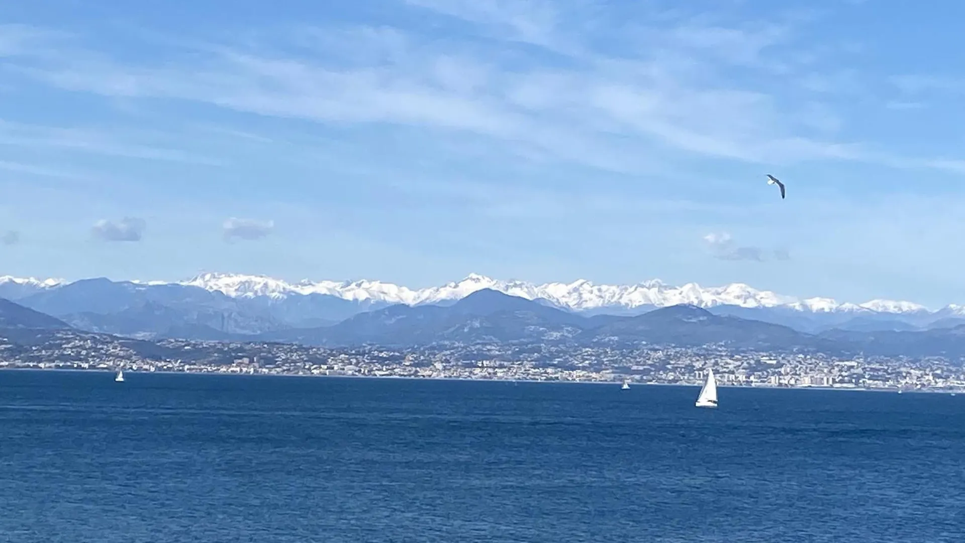 Apartment A Deux Pas Des Plages Et Au Coeur Du Vieil Antibes , Beau Studio Renove