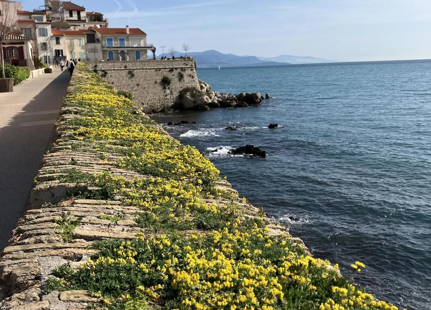 A Deux Pas Des Plages Et Au Coeur Du Vieil Antibes , Beau Studio Renove Apartment